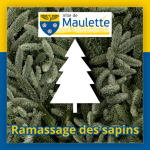 🌲 Ramassage des sapins de Noël 🌲